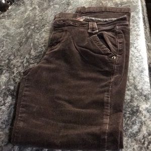 No Boundaries brown cord pants on junior size 7